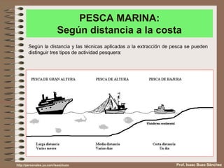 PESCA MARINA: Según distancia a la costa Prof. Isaac Buzo Sánchez Según la distancia y las técnicas aplicadas a la extracción de pesca se pueden distinguir tres tipos de actividad pesquera: http://personales.ya.com/isaacbuzo 