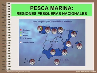 PESCA MARINA: REGIONES PESQUERAS NACIONALES Prof. Isaac Buzo Sánchez http://personales.ya.com/isaacbuzo 