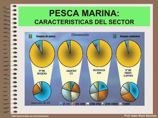 PESCA MARINA: CARACTERISTICAS DEL SECTOR Prof. Isaac Buzo Sánchez http://personales.ya.com/isaacbuzo 
