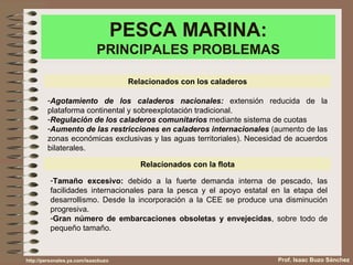 PESCA MARINA: PRINCIPALES PROBLEMAS Prof. Isaac Buzo Sánchez Relacionados con los caladeros ,[object Object],[object Object],[object Object],Relacionados con la flota ,[object Object],[object Object],http://personales.ya.com/isaacbuzo 