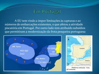 A EU tem vindo a impor limitações às capturas e ao
números de embarcações existentes, o que afetou a atividade
piscatória em Portugal. Por outro lado tem atribuído subsídios
que permitiram a modernização da frota pesqueira portuguesa
938 000
km2
726 000 km2
319 000km2
 