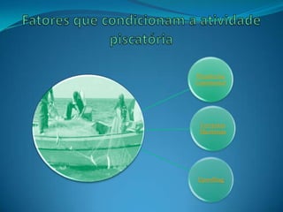 Plataforma
Continental
Correntes
Marítimas
Upwelling
 