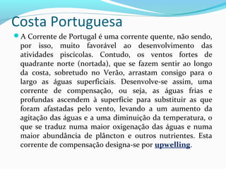 Costa Portuguesa
A Corrente de Portugal é uma corrente quente, não sendo,

por isso, muito favorável ao desenvolvimento das
atividades piscícolas. Contudo, os ventos fortes de
quadrante norte (nortada), que se fazem sentir ao longo
da costa, sobretudo no Verão, arrastam consigo para o
largo as águas superficiais. Desenvolve-se assim, uma
corrente de compensação, ou seja, as águas frias e
profundas ascendem à superfície para substituir as que
foram afastadas pelo vento, levando a um aumento da
agitação das águas e a uma diminuição da temperatura, o
que se traduz numa maior oxigenação das águas e numa
maior abundância de plâncton e outros nutrientes. Esta
corrente de compensação designa-se por upwelling.

 