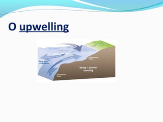 O upwelling

 