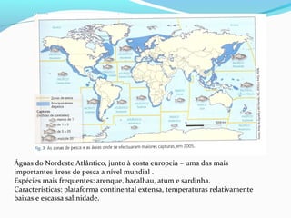 Águas do Nordeste Atlântico, junto à costa europeia – uma das mais
importantes áreas de pesca a nível mundial .
Espécies mais frequentes: arenque, bacalhau, atum e sardinha.
Características: plataforma continental extensa, temperaturas relativamente
baixas e escassa salinidade.

 