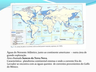 Águas do Noroeste Atlântico, junto ao continente americano – outra área de
grande exploração.
Área chamada bancos da Terra Nova.
Característica: plataforma continental extensa e onde a corrente fria do
Lavrador se encontra com as águas quentes de correntes provenientes do Golfo
do México.

 