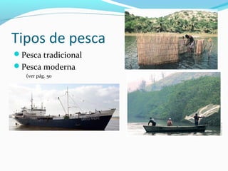 Tipos de pesca
Pesca tradicional
Pesca moderna
(ver pág. 50

 