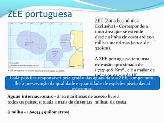 ZEE portuguesa

ZEE (Zona Económica
Exclusiva) - Corresponde a
uma área que se estende
desde a linha de costa até 200
milhas marítimas (cerca de
320km).

A ZEE portuguesa tem uma
extensão aproximada de
1.727.408 Km² , e é a maior de
todos os países da UE.
Cada país fica responsável pela gestão das águas da sua ZEE, competindolhe a preservação da qualidade e quantidade de espécies piscícolas aí
existentes.
Águas internacionais – área marítimas de acesso livre a
todos os países, situada a mais de duzentas milhas da costa.
(1 milha = 1,609344 quilómetros)

 