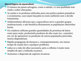 Desvantagens da aquacultura:

 O número de peixes selvagens, como o salmão, e a sua qualidade tem

vindo a sofrer alterações;
 As rações e os produtos utilizados para esta prática podem prejudicar
o ecossistema, caso sejam lançados no meio ambiente sem o devido
tratamento;
 Ambientalistas afirmam que a aquacultura serve a grandes grupos
multinacionais, e não beneficia diretamente as populações ribeirinhas
locais;
 Os criadores utilizam grandes quantidades de proteínas de baixo
custo para ração, produzindo produtos de alto custo (ex.: camarão),
em vez de apostarem na produção de outras populações piscícolas,
menos dispendiosas;
 Rápida propagação de doenças e, consequentemente, um menor
tempo de reação face a qualquer problema;
 reduz-se a mão-de-obra necessária, pois a colheita é muito mais
simples do que a realizada na pesca;
 Aumentar a dispersão de espécies invasivas.

 