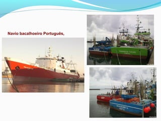 Navio bacalhoeiro Português,

 