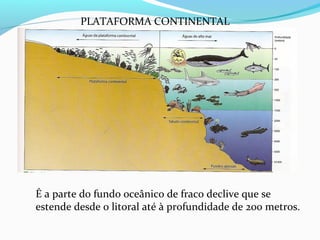 PLATAFORMA CONTINENTAL

É a parte do fundo oceânico de fraco declive que se
estende desde o litoral até à profundidade de 200 metros.

 