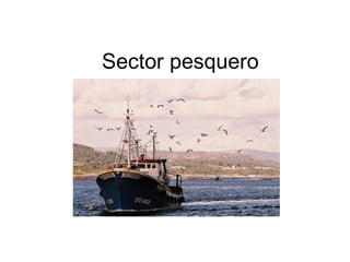 Sector pesquero

 