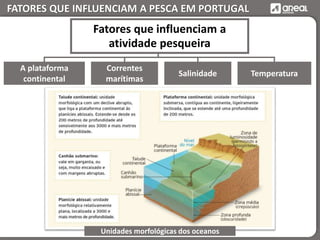 FATORES QUE INFLUENCIAM A PESCA EM PORTUGAL
A plataforma
continental
Correntes
marítimas
Salinidade Temperatura
Unidades morfológicas dos oceanos
Fatores que influenciam a
atividade pesqueira
 