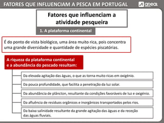 FATORES QUE INFLUENCIAM A PESCA EM PORTUGAL
É do ponto de vista biológico, uma área muito rica, pois concentra
uma grande diversidade e quantidade de espécies piscatórias.
Da elevada agitação das águas, o que as torna muito ricas em oxigénio.
Da pouca profundidade, que facilita a penetração da luz solar.
Da abundância de plâncton, resultante da condições favoráveis de luz e oxigénio.
Da afluência de resíduos orgânicos e inorgânicos transportados pelos rios.
Da baixa salinidade resultante da grande agitação das águas e da receção
das águas fluviais.
A riqueza da plataforma continental
e a abundância do pescado resultam:
1. A plataforma continental
Fatores que influenciam a
atividade pesqueira
 