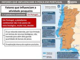 FATORES QUE INFLUENCIAM A PESCA EM PORTUGAL
Em Portugal...1. A plataforma continental
Fatores que influenciam a
atividade pesqueira
À sua reduzida extensão, por isso limitada
em termos de recursos biológicos, não
havendo para além dela grande
quantidade de bancos de pesca.
À exploração intensa de espécies piscícolas.
Em Portugal, a plataforma
continental não é do ponto de
vista biológico, muito rica, devido:
 
