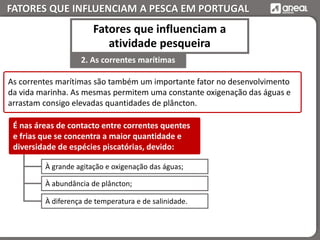 FATORES QUE INFLUENCIAM A PESCA EM PORTUGAL
As correntes marítimas são também um importante fator no desenvolvimento
da vida marinha. As mesmas permitem uma constante oxigenação das águas e
arrastam consigo elevadas quantidades de plâncton.
À grande agitação e oxigenação das águas;
À abundância de plâncton;
À diferença de temperatura e de salinidade.
É nas áreas de contacto entre correntes quentes
e frias que se concentra a maior quantidade e
diversidade de espécies piscatórias, devido:
2. As correntes marítimas
Fatores que influenciam a
atividade pesqueira
 
