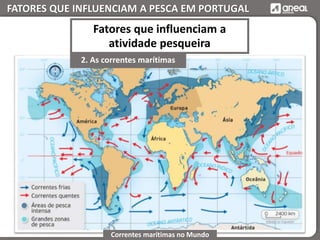 FATORES QUE INFLUENCIAM A PESCA EM PORTUGAL
2. As correntes marítimas
Fatores que influenciam a
atividade pesqueira
Correntes marítimas no Mundo
 