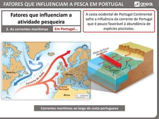 FATORES QUE INFLUENCIAM A PESCA EM PORTUGAL
Em Portugal...2. As correntes marítimas
Fatores que influenciam a
atividade pesqueira
A costa ocidental de Portugal Continental
sofre a influência da corrente de Portugal
que é pouco favorável à abundância de
espécies piscícolas.
Correntes marítimas ao largo da costa portuguesa
 