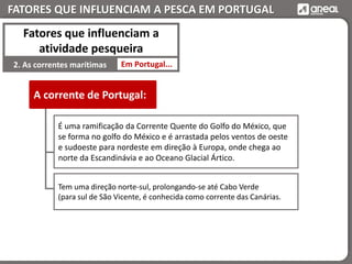 FATORES QUE INFLUENCIAM A PESCA EM PORTUGAL
Em Portugal...2. As correntes marítimas
Fatores que influenciam a
atividade pesqueira
É uma ramificação da Corrente Quente do Golfo do México, que
se forma no golfo do México e é arrastada pelos ventos de oeste
e sudoeste para nordeste em direção à Europa, onde chega ao
norte da Escandinávia e ao Oceano Glacial Ártico.
Tem uma direção norte-sul, prolongando-se até Cabo Verde
(para sul de São Vicente, é conhecida como corrente das Canárias.
A corrente de Portugal:
 