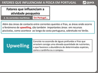FATORES QUE INFLUENCIAM A PESCA EM PORTUGAL
Além das áreas de contacto entre correntes quentes e frias, as áreas onde ocorre
o fenómeno de upwelling, são também importantes áreas em recursos
piscícolas, como acontece ao longo da costa portuguesa, sobretudo no Verão.
Consiste na ascensão de águas profundas e frias que
arrastam consigo uma elevada quantidade de nutrientes,
o que favorece a abundância de determinadas espécies,
como a sardinha ou o carapau.
Upwelling
Em Portugal...2. As correntes marítimas
Fatores que influenciam a
atividade pesqueira
 