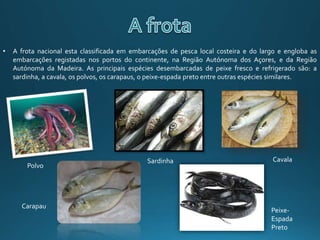 • A frota nacional esta classificada em embarcações de pesca local costeira e do largo e engloba as
embarcações registadas nos portos do continente, na Região Autónoma dos Açores, e da Região
Autónoma da Madeira. As principais espécies desembarcadas de peixe fresco e refrigerado são: a
sardinha, a cavala, os polvos, os carapaus, o peixe-espada preto entre outras espécies similares.
Polvo
Carapau
CavalaSardinha
Peixe-
Espada
Preto
 