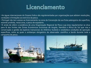 • As águas internacionais do Oceano Índico são regulamentadas por organizações que adotam resoluções,
condições e limitações ao exercício da pesca.
• Portugal não tem acesso ao licenciamento na zona da Convenção da sua frota palangreira de superfície,
estando proibida, nessa zona, a pesca de espadarte.
• É ainda de referir a existência de uma Organização Regional de Pesca cuja área regulamentar se situa
para lá dos limites das Zonas Económicas Exclusivas de Angola, Namíbia e África do Sul que visa a
conservação e gestão de espécies transzonais do Atlântico Sudeste e estabelece condições de operação
específicas, entre as quais o embarque obrigatório de observador científico a bordo durante toda a
campanha de pesca.
 