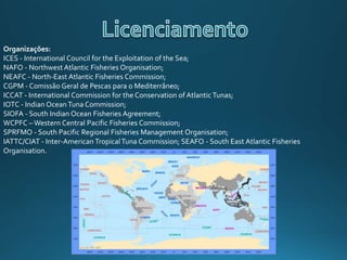 Organizações:
ICES - International Council for the Exploitation of the Sea;
NAFO - NorthwestAtlantic Fisheries Organisation;
NEAFC - North-East Atlantic Fisheries Commission;
CGPM - Comissão Geral de Pescas para o Mediterrâneo;
ICCAT - International Commission for the Conservation of Atlantic Tunas;
IOTC - Indian Ocean Tuna Commission;
SIOFA - South Indian Ocean Fisheries Agreement;
WCPFC – Western Central Pacific Fisheries Commission;
SPRFMO - South Pacific Regional Fisheries Management Organisation;
IATTC/CIAT - Inter-American TropicalTuna Commission; SEAFO - South East Atlantic Fisheries
Organisation.
 