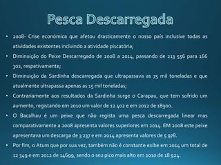 • 2008- Crise económica que afetou drasticamente o nosso país inclusive todas as
atividades existentes incluindo a atividade piscatória;
• Diminuição do Peixe Descarregado de 2008 a 2014, passando de 213 556 para 166
302, respetivamente;
• Diminuição da Sardinha descarregada que ultrapassava as 75 mil toneladas e que
atualmente ultrapassa apenas as 15 mil toneladas;
• Contrariamente aos resultados da Sardinha surge o Carapau, que tem sofrido um
aumento, registando em 2010 um valor de 12 402 e em 2012 de 18900.
• O Bacalhau é um peixe que não regista uma pesca descarregada linear mas
comparativamente a 2008 apresenta valores superiores em 2014. EM 2008 este peixe
apresentava um descarga de 3 237 e em 2014 apresenta valores de 5 978.
• Por fim, o Atum que por sua vez, também não é constante exibe em 2014 um total de
12 349 e em 2012 de 14699, sendo o seu pico mais alto em 2010 de 18 924.
 