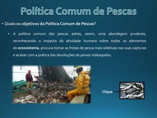 • A política comum das pescas adota, assim, uma abordagem prudente,
reconhecendo o impacto da atividade humana sobre todos os elementos
do ecossistema, procura tornar as frotas de pesca mais seletivas nas suas capturas
e acabar com a prática das devoluções de peixes indesejados.
Clique
 