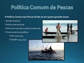 A Política Comum das Pescas divide-se em quatro grandes áreas:
• Gestão da pesca;
• Política internacional;
• Política de mercado e política comercial;
• Financiamento da política:
FEP 2007-2013
FEAMP 2014-2020
 