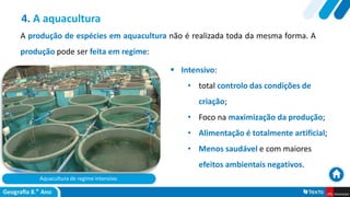 Aquacultura de regime intensivo.
 Intensivo:
• total controlo das condições de
criação;
• Foco na maximização da produção;
• Alimentação é totalmente artificial;
• Menos saudável e com maiores
efeitos ambientais negativos.
4. A aquacultura
A produção de espécies em aquacultura não é realizada toda da mesma forma. A
produção pode ser feita em regime:
 
