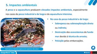 Sobrepesca indireta (captura de espécies não-alvo)
 No caso da pesca industrial e de largo:
• Sobrepesca ou sobreexploração direta
ou indireta;
• Destruição dos ecossistemas do fundo
mar devido à técnica do arrasto;
• Poluição pelas embarcações.
5. Impactes ambientais
A pesca e a aquacultura produzem elevados impactos ambientais, especialmente
nos casos da pesca industrial e de largo e da aquacultura intensiva.
 