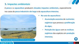 Proliferação de algas devido aos nutrientes da aquacultura.
 No caso da aquacultura:
• Acumulação excessiva de nutrientes
orgânicos que provoca a proliferação
de algas;
• Poluição das águas com os resíduos
orgânicos das espécies em produção
intensiva;
5. Impactes ambientais
A pesca e a aquacultura produzem elevados impactos ambientais, especialmente
nos casos da pesca industrial e de largo e da aquacultura intensiva.
 