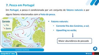 Correntes marítimas
 Fatores naturais:
• Corrente fria das Canárias, a sul;
• Upwelling no verão;
7. Pesca em Portugal
Maior abundância de pescado
Em Portugal, a pesca é condicionada por um conjunto de fatores naturais e por
alguns fatores relacionados com a frota de pesca.
 