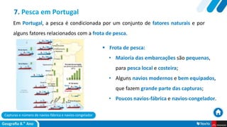 Capturas e número de navios-fábrica e navios-congelador
 Frota de pesca:
• Maioria das embarcações são pequenas,
para pesca local e costeira;
• Alguns navios modernos e bem equipados,
que fazem grande parte das capturas;
• Poucos navios-fábrica e navios-congelador.
7. Pesca em Portugal
Em Portugal, a pesca é condicionada por um conjunto de fatores naturais e por
alguns fatores relacionados com a frota de pesca.
 