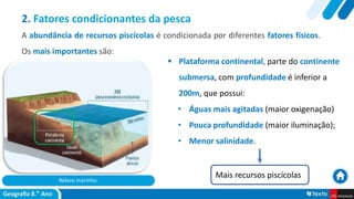 Relevo marinho.
 Plataforma continental, parte do continente
submersa, com profundidade é inferior a
200m, que possui:
• Águas mais agitadas (maior oxigenação)
• Pouca profundidade (maior iluminação);
• Menor salinidade.
2. Fatores condicionantes da pesca
A abundância de recursos piscícolas é condicionada por diferentes fatores físicos.
Os mais importantes são:
Mais recursos piscícolas
 