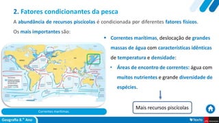 Correntes marítimas.
 Correntes marítimas, deslocação de grandes
massas de água com características idênticas
de temperatura e densidade:
• Áreas de encontro de correntes: água com
muitos nutrientes e grande diversidade de
espécies.
2. Fatores condicionantes da pesca
A abundância de recursos piscícolas é condicionada por diferentes fatores físicos.
Os mais importantes são:
Mais recursos piscícolas
 