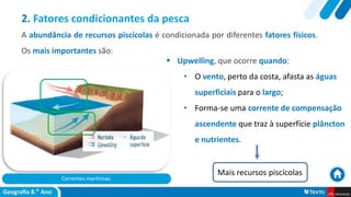 Correntes marítimas.
 Upwelling, que ocorre quando:
• O vento, perto da costa, afasta as águas
superficiais para o largo;
• Forma-se uma corrente de compensação
ascendente que traz à superfície plâncton
e nutrientes.
2. Fatores condicionantes da pesca
A abundância de recursos piscícolas é condicionada por diferentes fatores físicos.
Os mais importantes são:
Mais recursos piscícolas
 