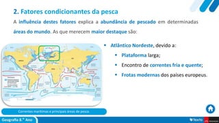 Correntes marítimas e principais áreas de pesca.
 Atlântico Nordeste, devido a:
 Plataforma larga;
 Encontro de correntes fria e quente;
 Frotas modernas dos países europeus.
2. Fatores condicionantes da pesca
A influência destes fatores explica a abundância de pescado em determinadas
áreas do mundo. As que merecem maior destaque são:
 