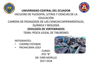 UNIVERSIDAD CENTRAL DEL ECUADOR
FACULTAD DE FILOSOFÍA, LETRAS Y CIENCIAS DE LA
EDUCACIÓN
CARRERA DE PEDAGOGÍA DE LAS CIENCIAS EXPERIMENTALES,
QUÍMICA Y BIOLOGÍA
ZOOLOGÍA DE VERTEBRADOS
TEMA: PESCA ILEGAL DE TIBURONES
INTEGRANTES:
• CHERREZ ESTEBAN
• PACHACAMA LESLY
CURSO:
4TO “B”
DR: IVÁN MORILLO
2017-2018
 