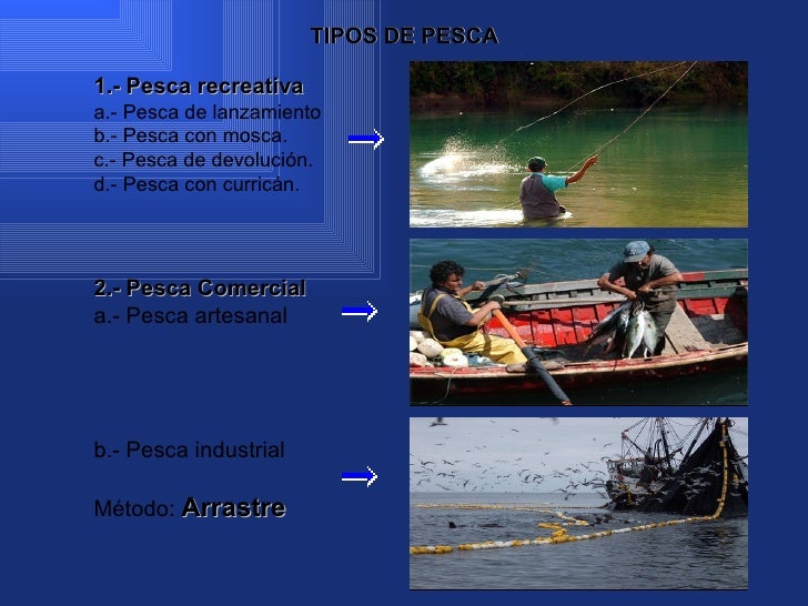 Tipos De Pesca Artesanal E Industrial es.slideshare.net