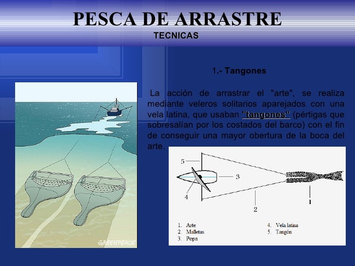 Pesca De Arrastre