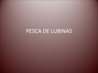 PESCA DE LUBINAS
 