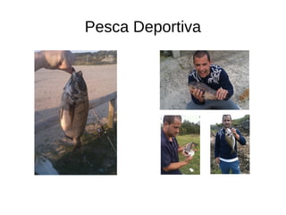 Pesca Deportiva
 