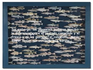 Sin embargo, los japoneses pudieron percibir la diferencia entre el pescado congelado y el fresco y no les gustaba  el congelado; por lo tanto, tenían que venderlo más barato.  
