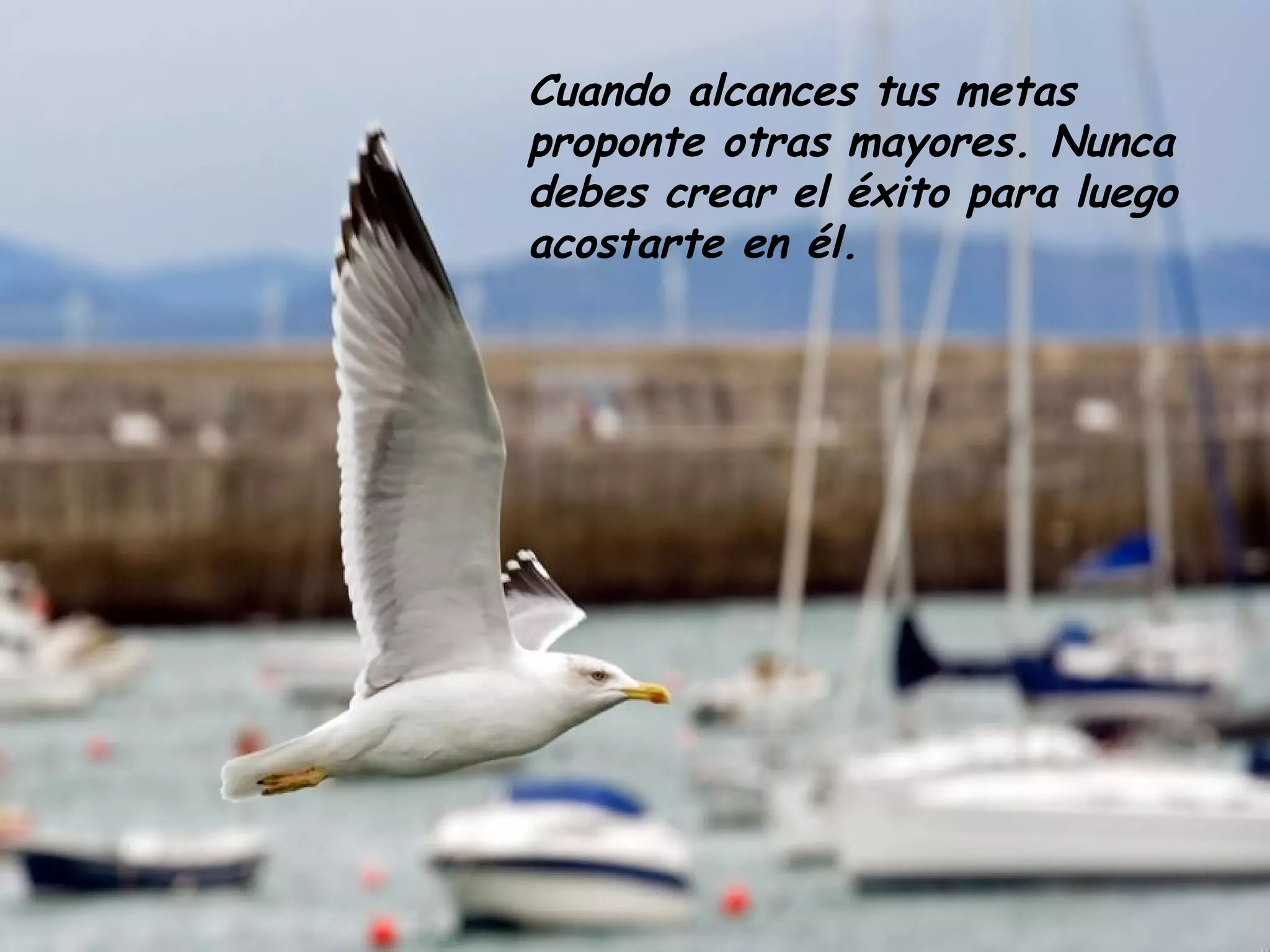 Cuando alcances tus metas
proponte otras mayores. Nunca
debes crear el éxito para luego
acostarte en él.
 