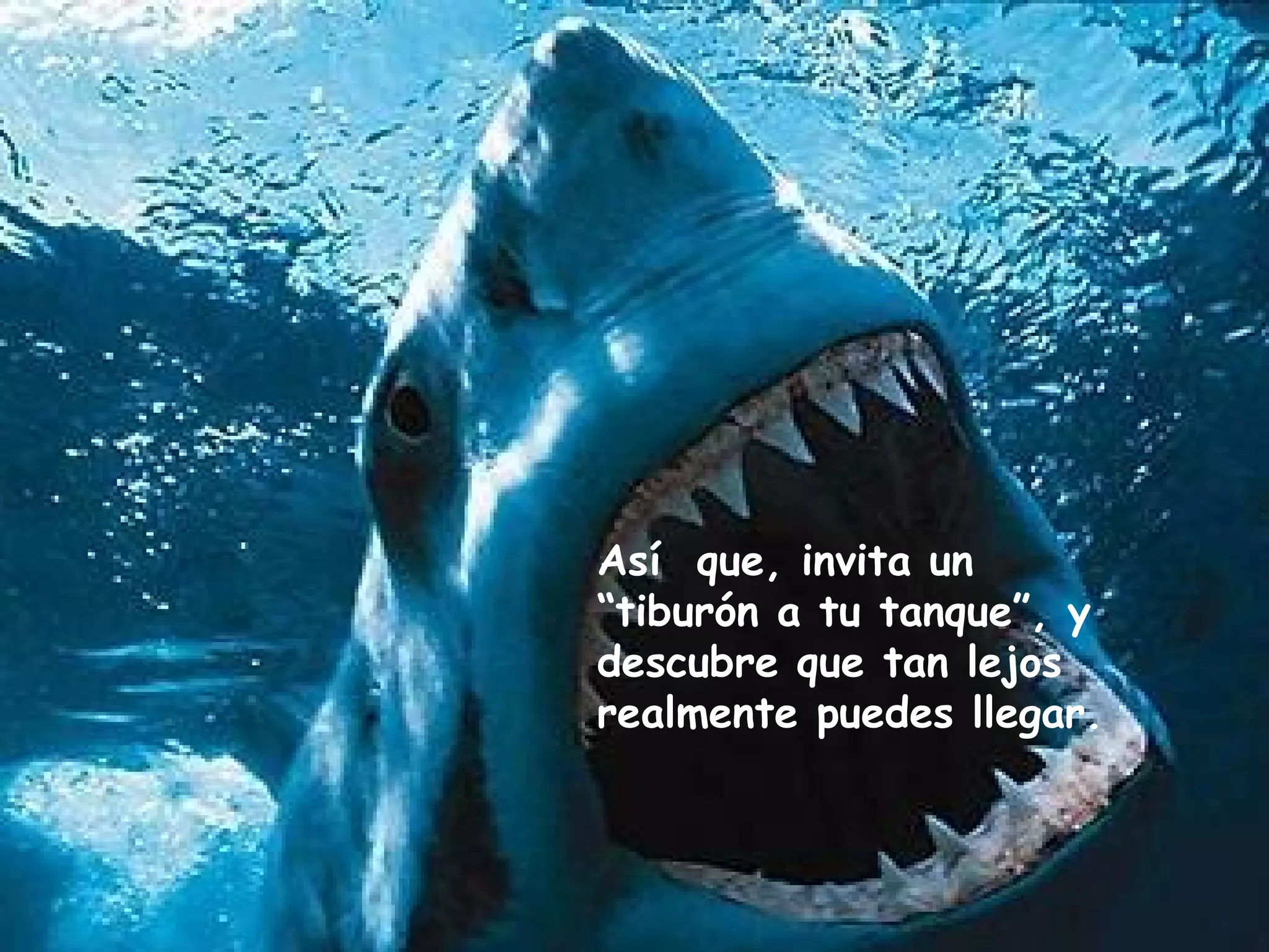 Así que, invita un
“tiburón a tu tanque”, y
descubre que tan lejos
realmente puedes llegar.
 