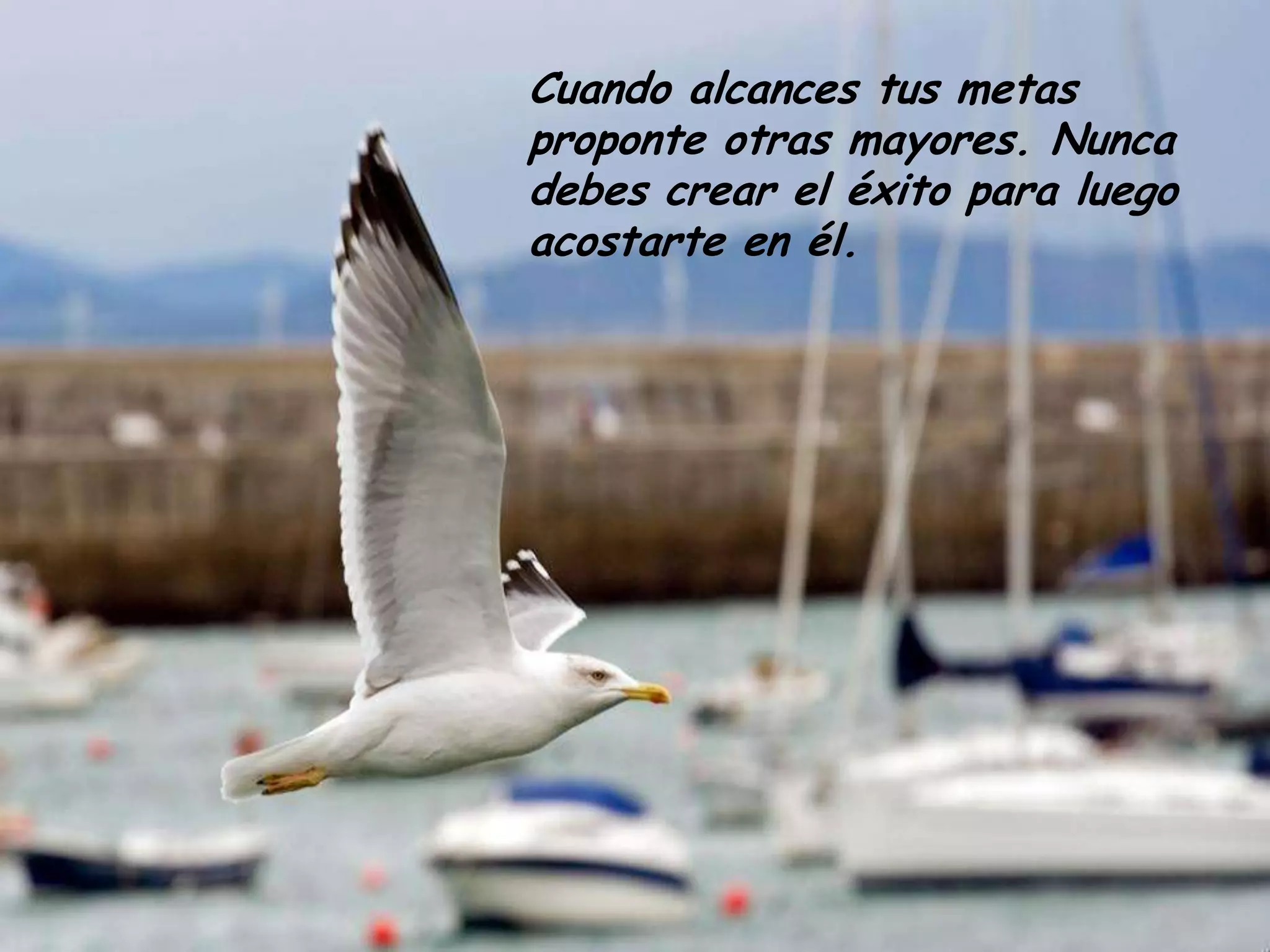 Cuando alcances tus metas proponte otras mayores. Nunca debes crear el éxito para luego acostarte en él.