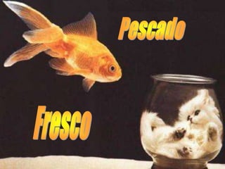 Pescado,[object Object],Fresco,[object Object]