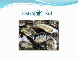Ostra[굴] Kul
 